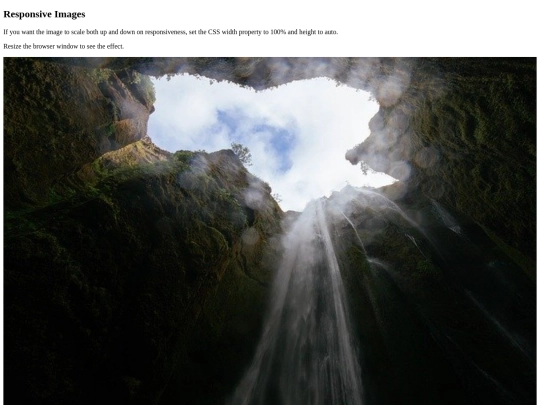 Web Design/Testing screenshot