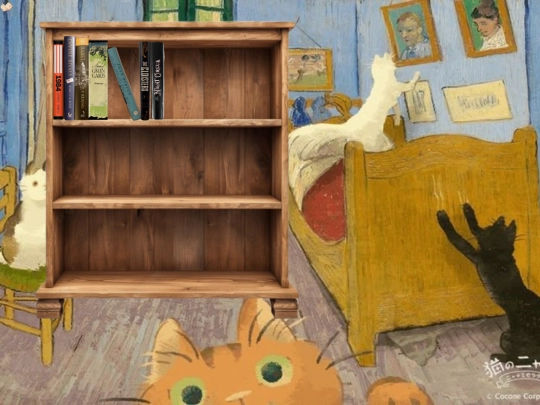 bookshelf screenshot