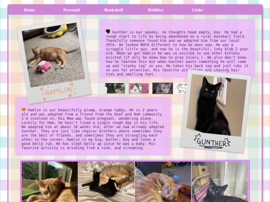 kitties screenshot