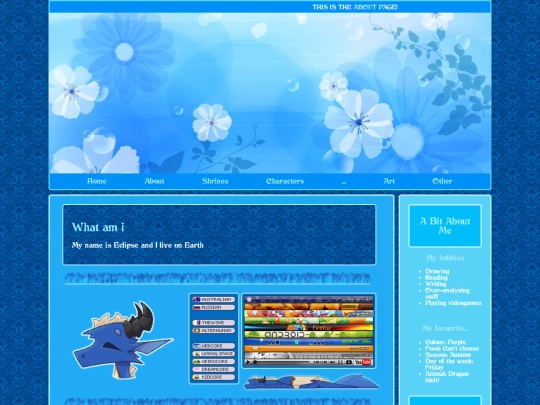 about screenshot