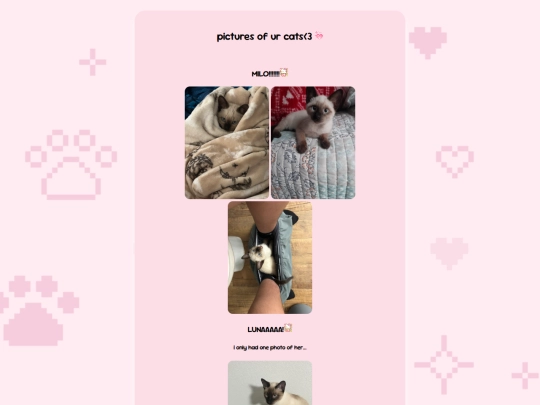 cats screenshot