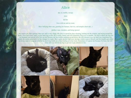 pets/alice screenshot