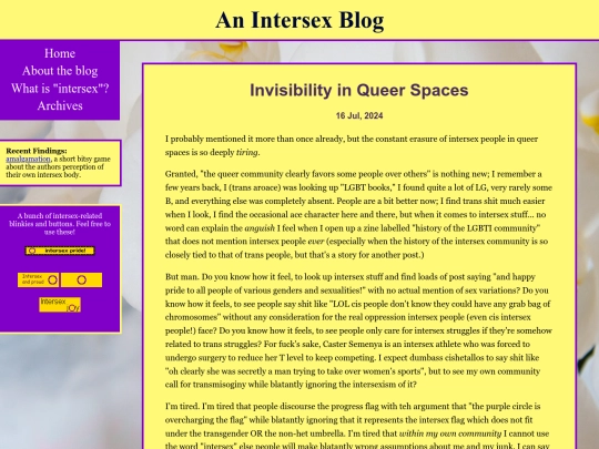 posts/2024-07-16-Invisibility-in-Queer-Spaces screenshot
