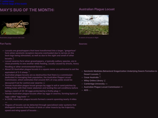 bugofthemonth screenshot