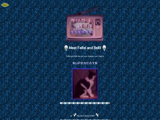 cats screenshot