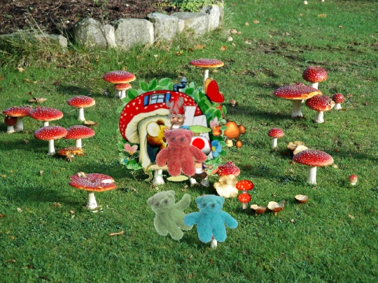 ddc/bearyquestmushroom screenshot