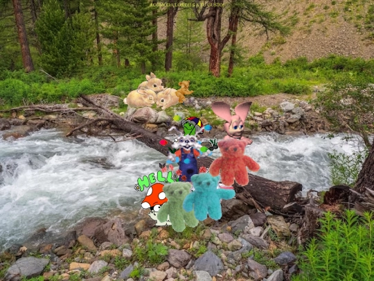 ddc/bearyquestriver screenshot