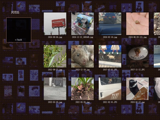 doghouse/fotos screenshot