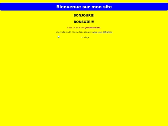 monsitehoufiyassine screenshot