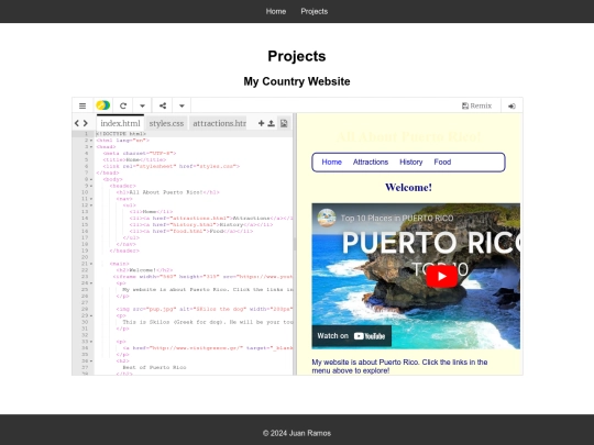 projects screenshot