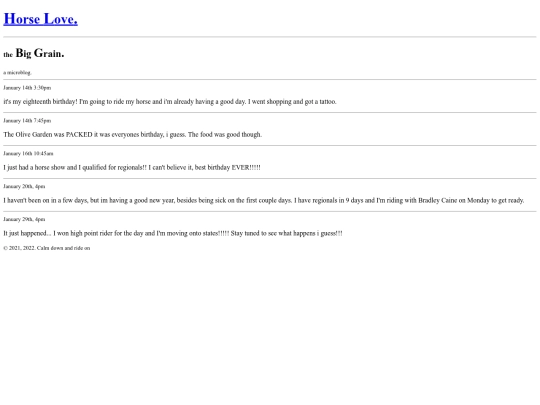 blog screenshot
