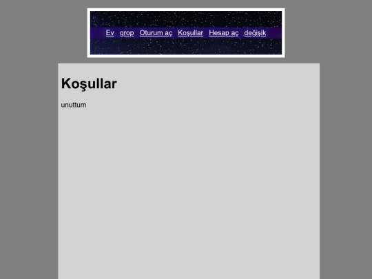 terms screenshot