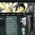 yakuflower.yorniq.xyz avatar
