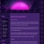 Stages of Mania avatar