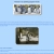 The web site of splashingpenguins avatar