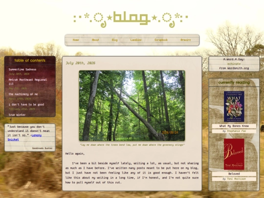pages/blog screenshot