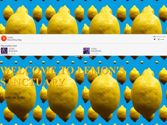 lemonsantuary screenshot