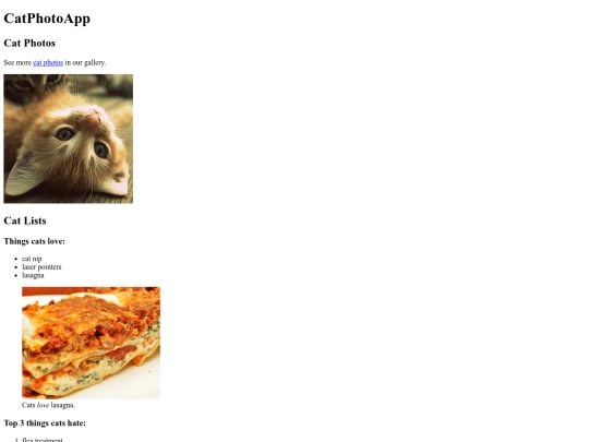 cat_photo_app/cat_photo_app screenshot