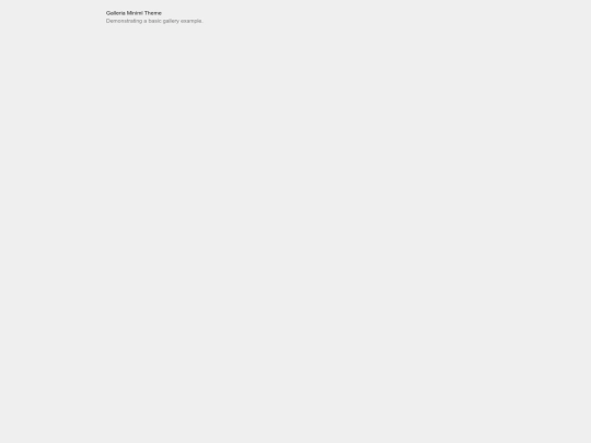 galleria/src/themes/miniml/demo-cdn screenshot
