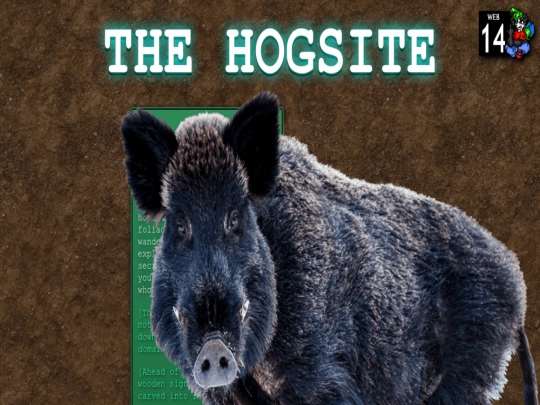 hogsite