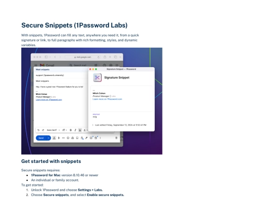 1/securesnippets screenshot