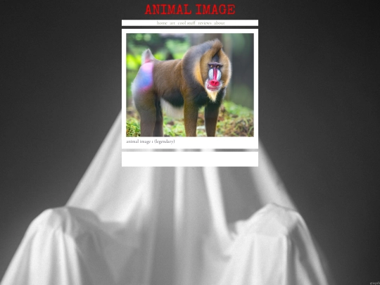 coolstuff/animalimage screenshot
