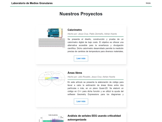 paginas/proyectos screenshot