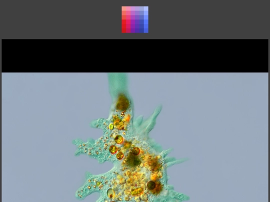 gallery2 screenshot