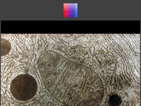 gallery6 screenshot