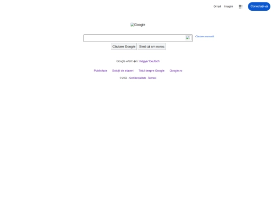 google screenshot