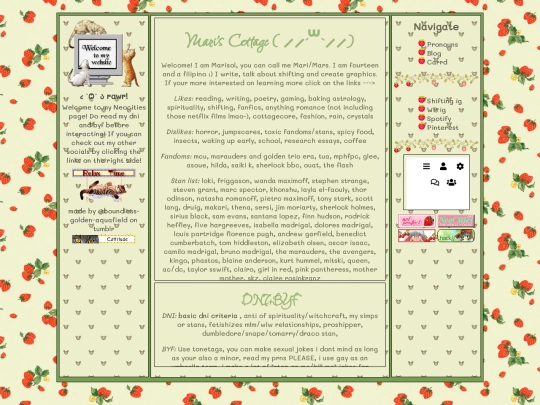 maris-website screenshot