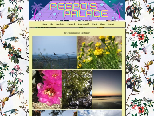 photoroll screenshot