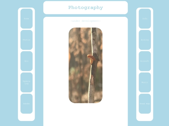 photography screenshot