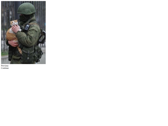 canbreused screenshot