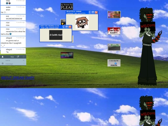 homez screenshot