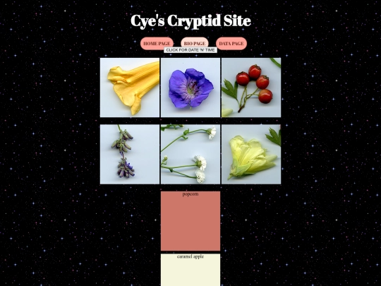 bio screenshot