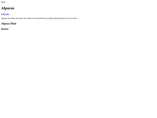 newfile screenshot