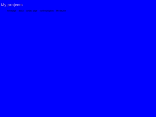 projects screenshot