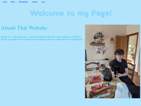 homepage screenshot