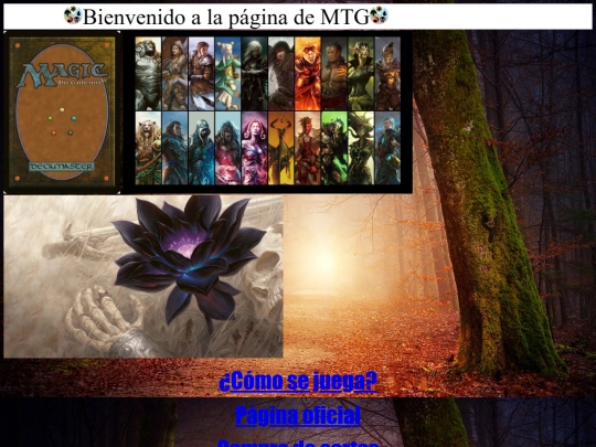 proyecto/proyecto screenshot
