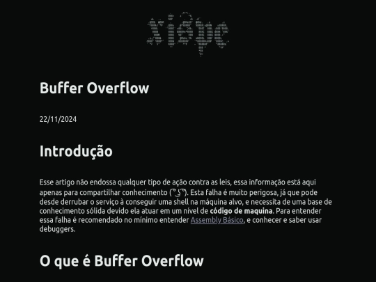 Buffer Overflow screenshot