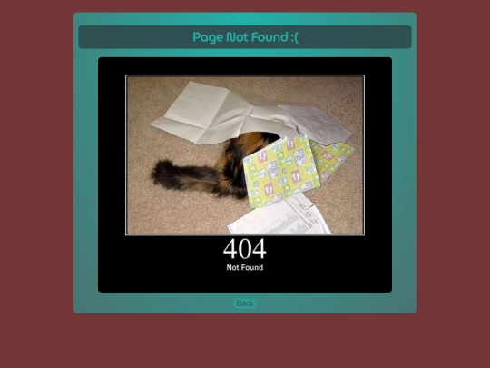 not_found.min screenshot