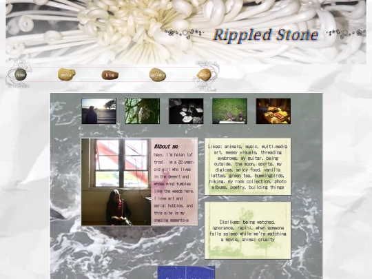 website/about screenshot