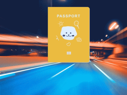 pages/passport screenshot