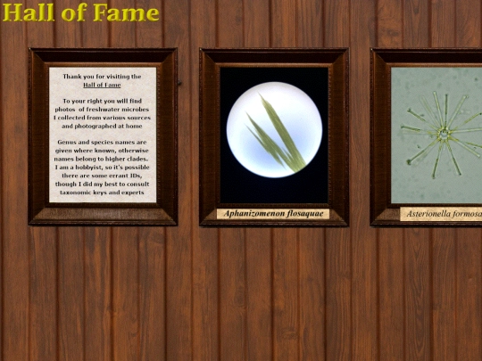 hall_of_fame screenshot