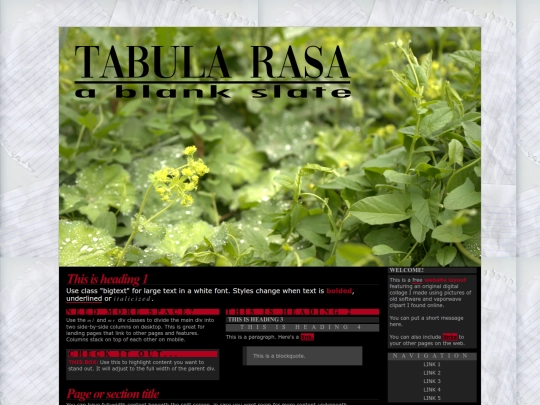 aol-vwr screenshot