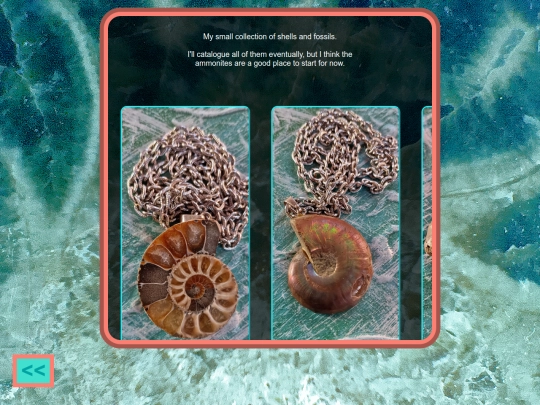 shells screenshot
