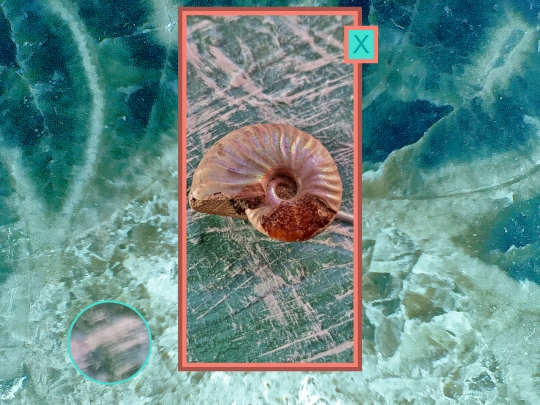 shells/shellsshell3 screenshot