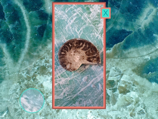 shells/shellsshell4 screenshot