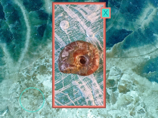 shells/shellsshell7 screenshot